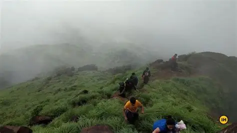 Kurinjal Trail landscape